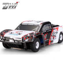 DWI Dowellin 1/28 2.4G 4WD Brushed Racing Remote Control Car RC Monster Trucks For Sale